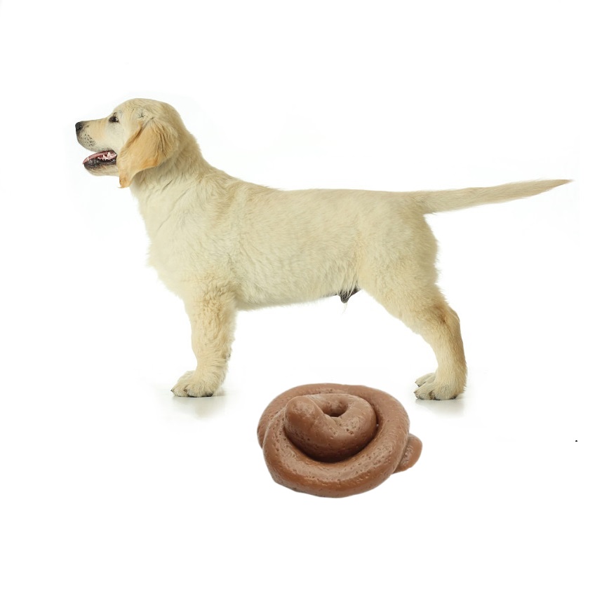 Fake Poop Gag Gift - Giocattolo Divertente a Forma di Cacca