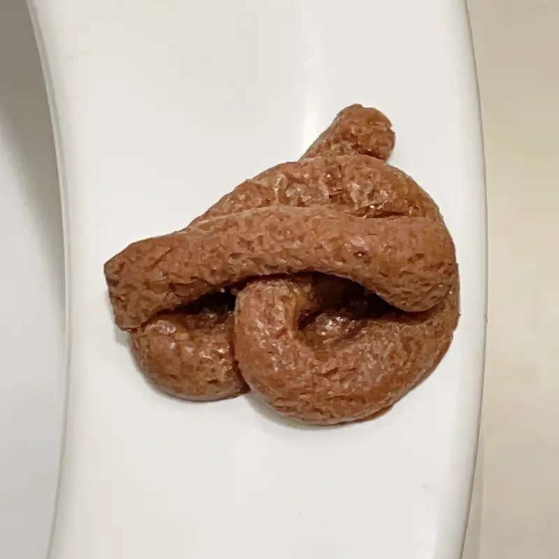 Giocattolo realistico di scher - Fake Poop Gag Gift recensione e prezzo