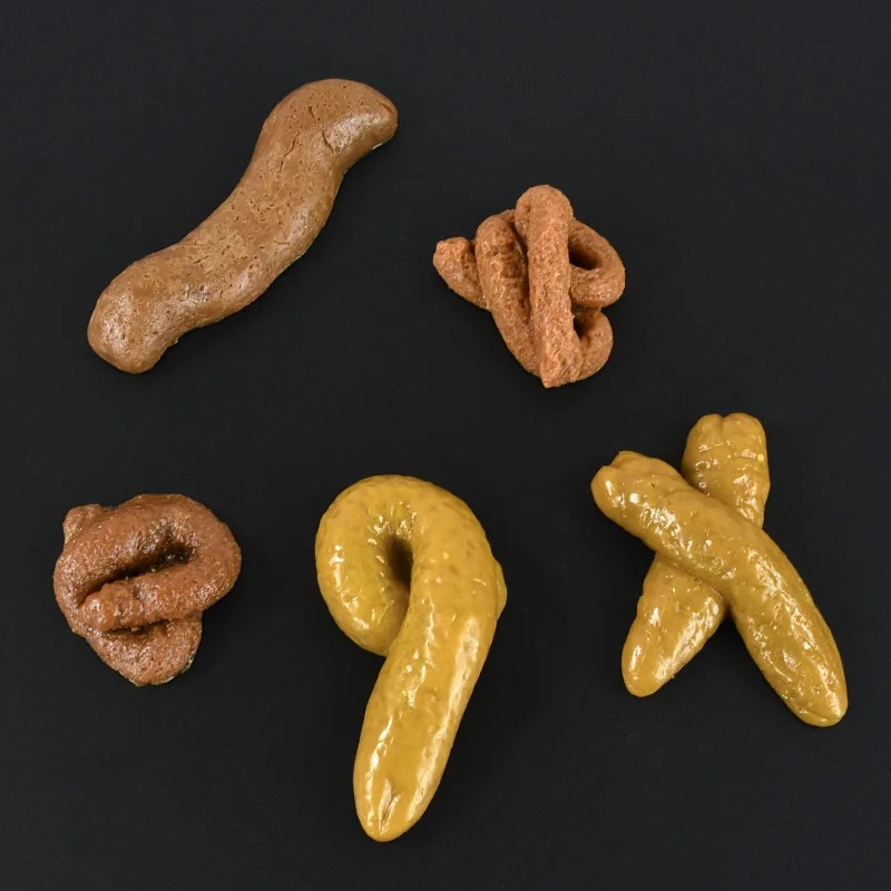 Merda realistica Sicuro e in p - Fake Poop Gag Gift recensione e prezzo