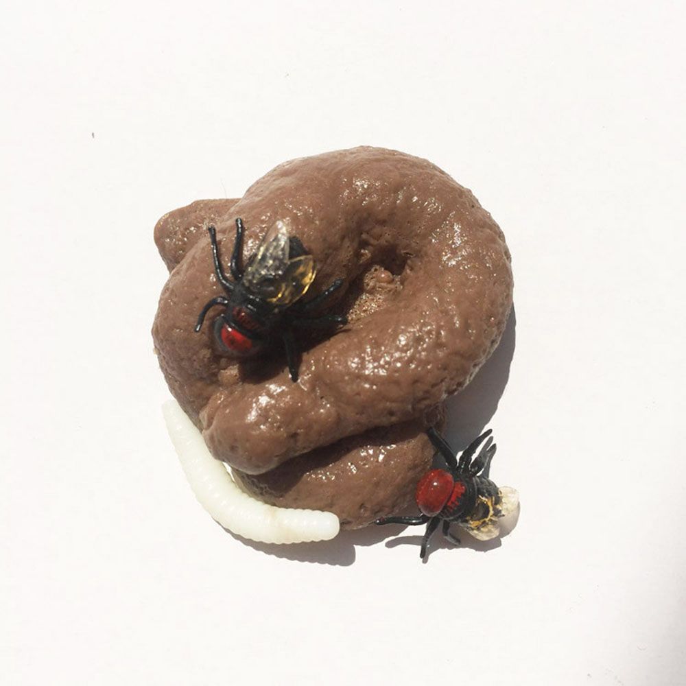 Scherzo Realistico Merda Finta - Fake Poop Gag Gift recensione e prezzo