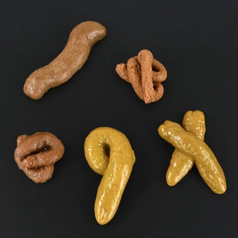 Cacca Finta Realistica in Plas - Fake Poop Gag Gift recensione e prezzo